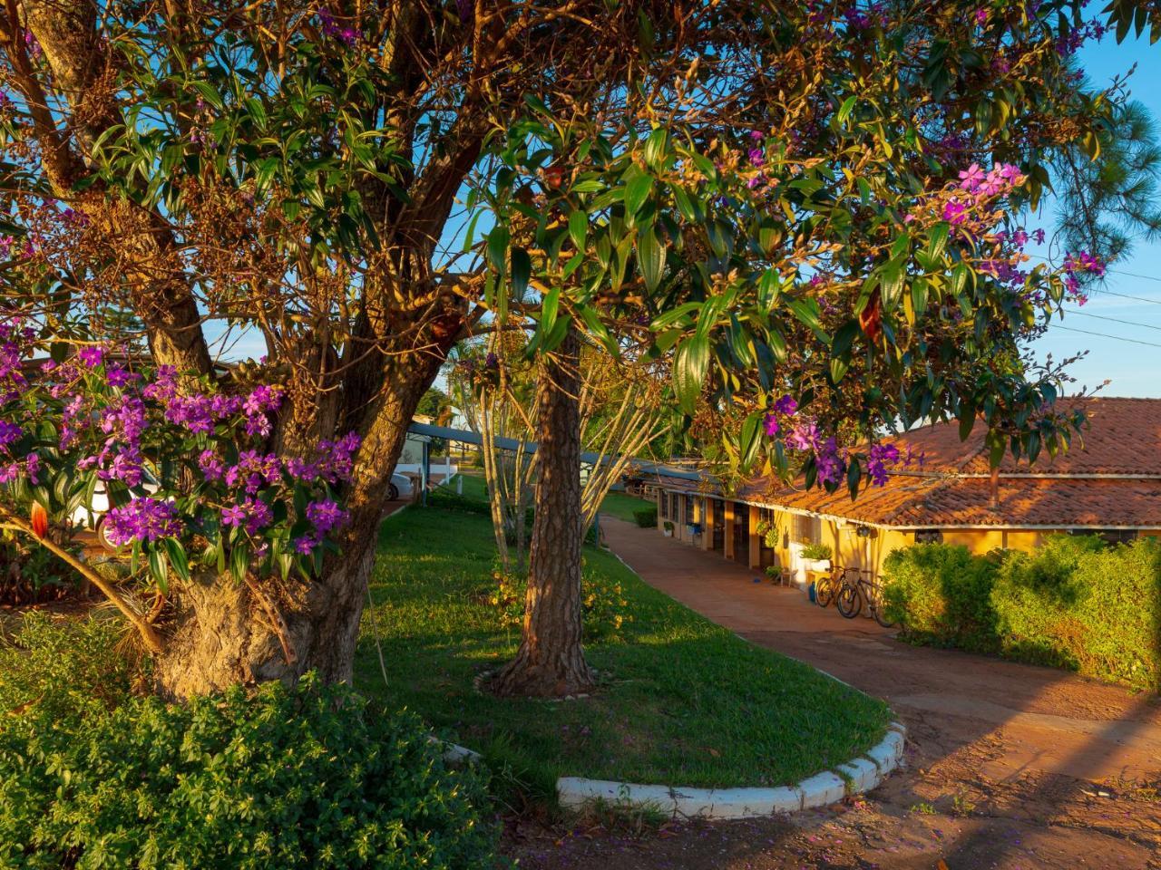 Pousada Figueira เซา โชเซ ดา บาร์รา ภายนอก รูปภาพ