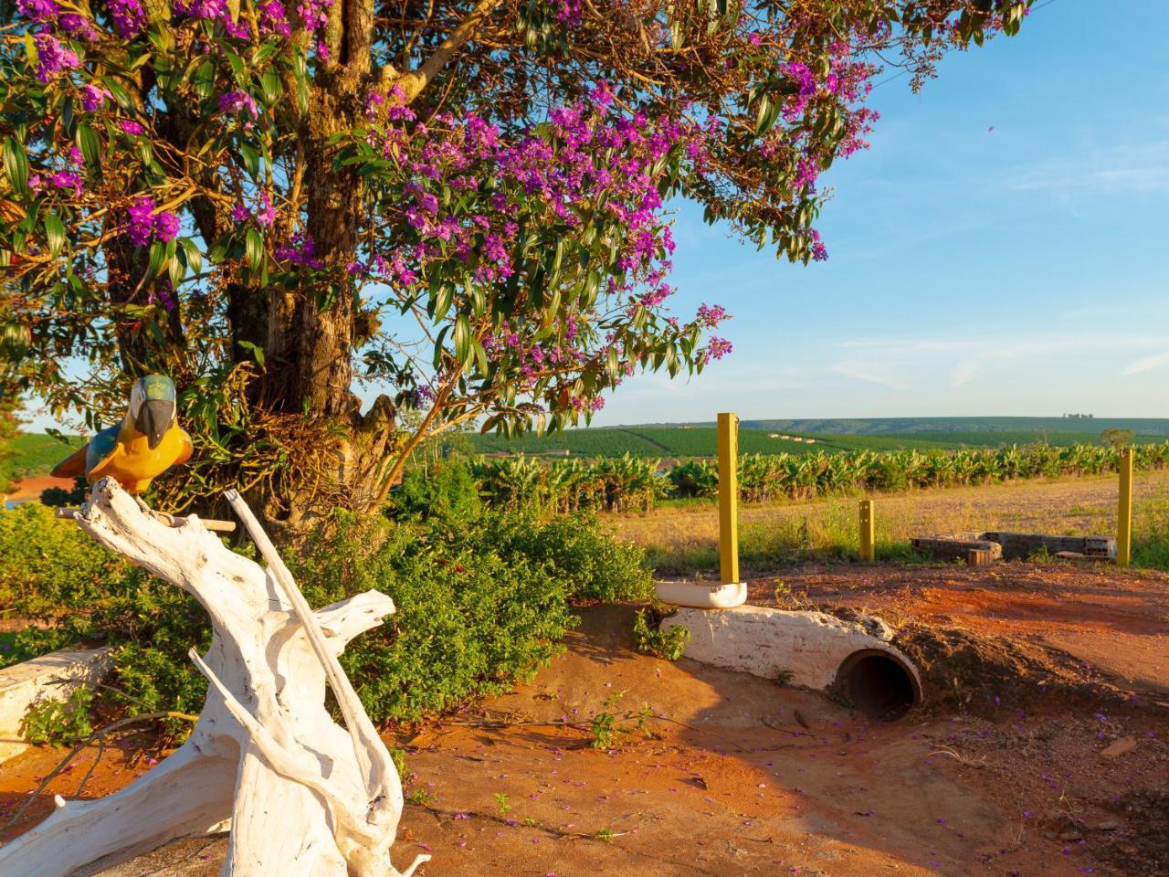 Pousada Figueira เซา โชเซ ดา บาร์รา ภายนอก รูปภาพ